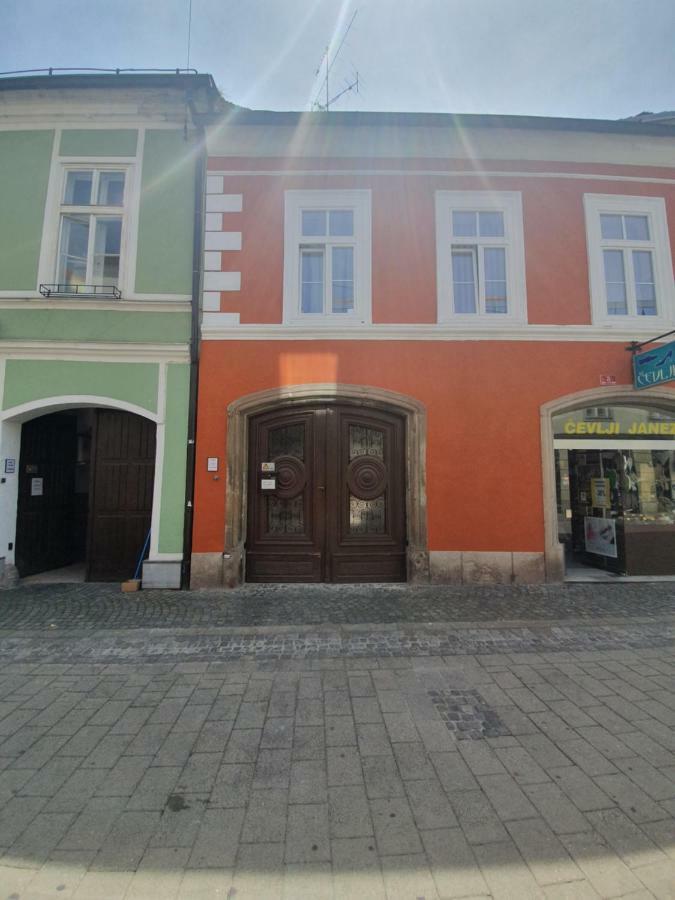 Minidorm Rooms In Heart Of City Center Maribor Extérieur photo
